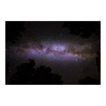 Vía lechosa con silueta de árboles