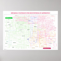 Vía metabólica para la síntesis de antibióticos