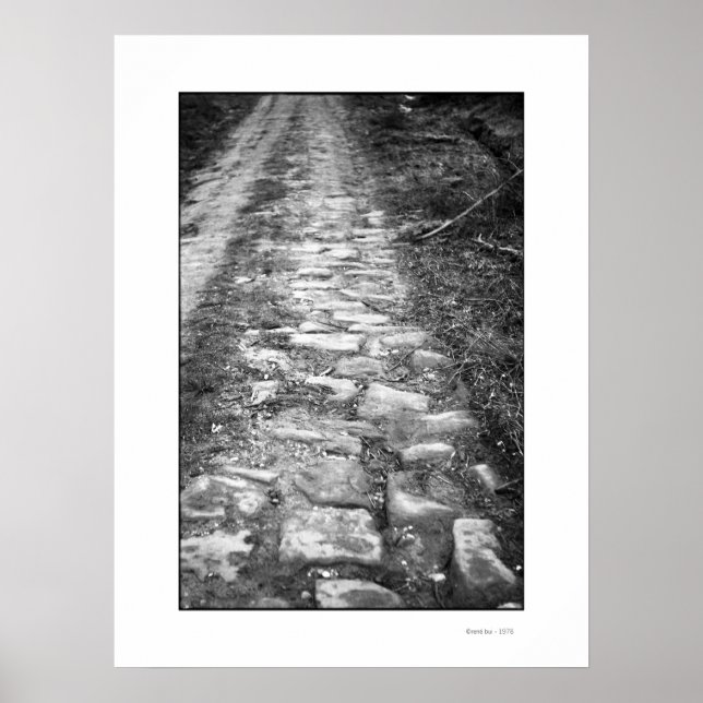 PÓSTER VIA ROMANA POSTER (Frente)