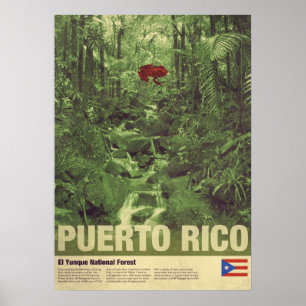 Póster Viaje a Puerto Rico: EL Yunque