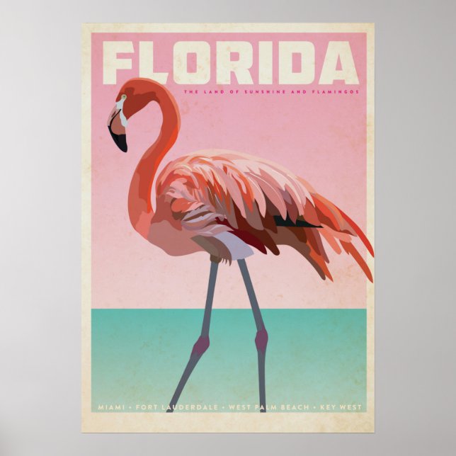 Póster Viaje de florida florida flamigo (Frente)