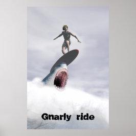 Póster Viaje de Gnarly
