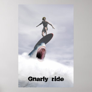 Póster Viaje de Gnarly