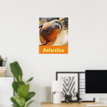 Póster Viaje de la Antártida de la Selva de Natación de V<br><div class="desc">Este es un poster moderno de estilo viaje que presenta mi original y creativo retrato de vida salvaje de una adorable foca nadando bajo el agua en las gélidas aguas del mar antártico. La palabra: La Antártida está en un cartel naranja a juego en la parte inferior de una fuente...</div>