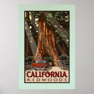 Póster Viaje de secuoyas de California