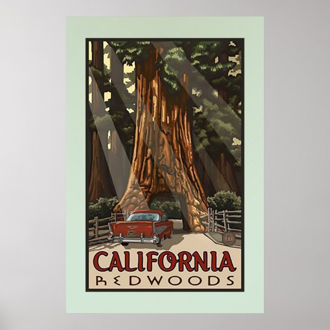 Póster Viaje de secuoyas de California (Frente)