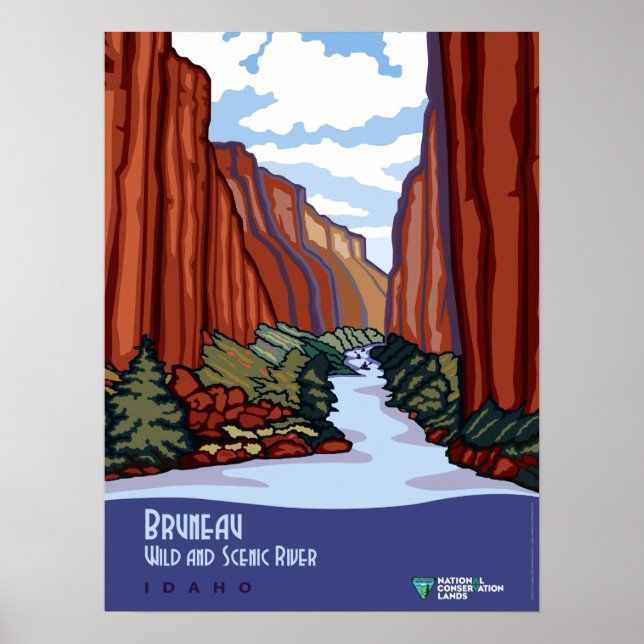 Póster Viaje del Río Idaho, un río virgen bruneau (Frente)