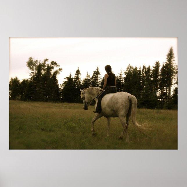 Póster Viaje en bareback en dreamworld - Poster (Frente)