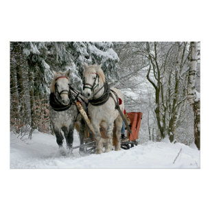 Póster Viaje en Sleigh en Winter Wonderland