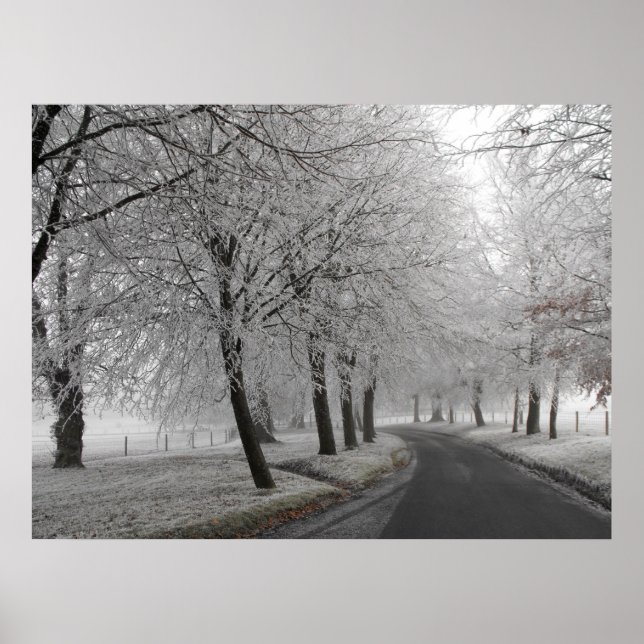 Póster Viaje escarpado (Frente)