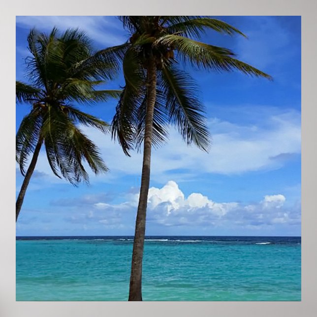 Póster Viaje familiar de vacaciones en playa Guadalupe Ca (Frente)