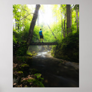 Póster Viaje por el mágico bosque