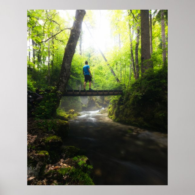 Póster Viaje por el mágico bosque (Frente)