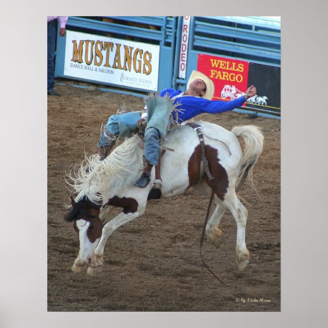 Póster Viaje Salvaje - Rodeo Reno 2010 (Frente)