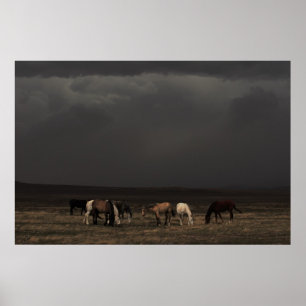 Póster Viajeros De La Tormenta