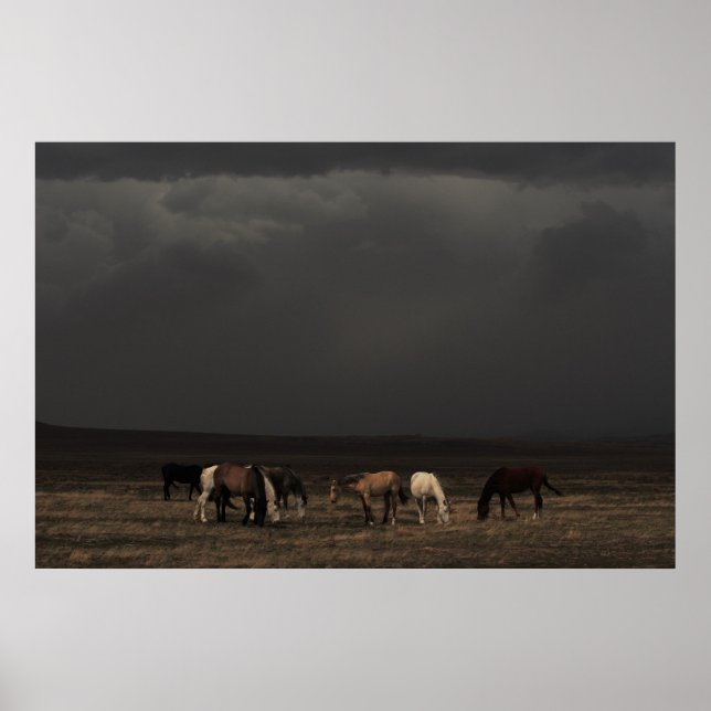 Póster Viajeros De La Tormenta (Frente)