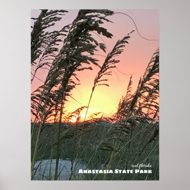 Póster Viajes | Florida - Anastasia Sea Oat Sunset (Frente)