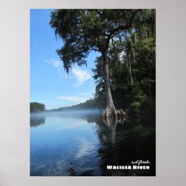 Póster Viajes | Florida - Árbol de Cypress antiguo, río W