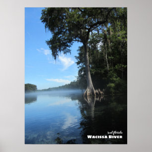 Póster Viajes Florida - Árbol de Cypress antiguo, río W