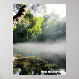 Póster Viajes | Florida - Blue Hole Springs Foggy Morning