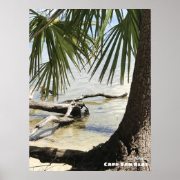 Póster Viajes | Florida - Cape San Blas Driftwood