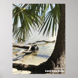 Póster Viajes | Florida - Cape San Blas Driftwood