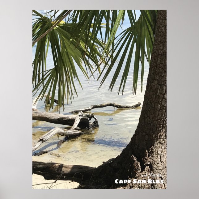 Póster Viajes | Florida - Cape San Blas Driftwood (Frente)