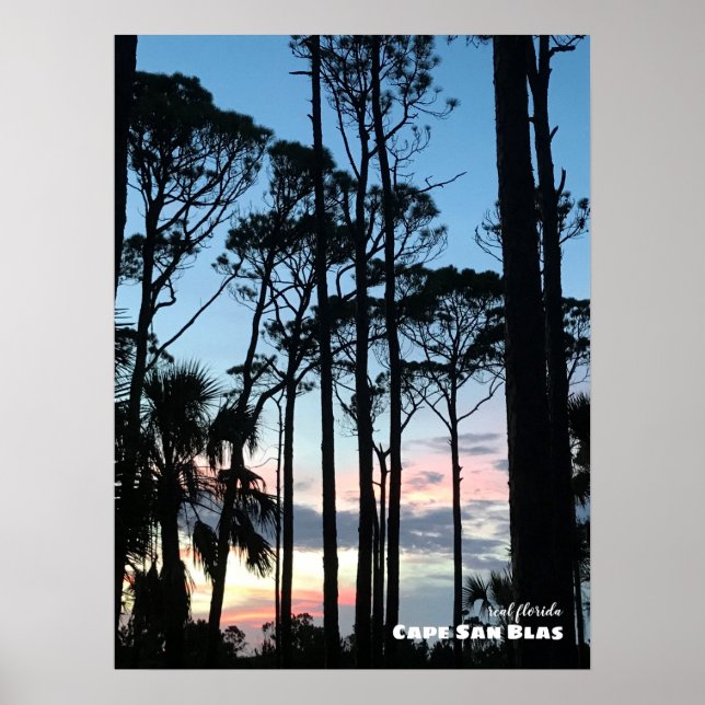 Póster Viajes | Florida - Cape San Blas Sunset Pines (Frente)