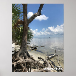 Póster Viajes | Florida - Playa de Cabo San Blas