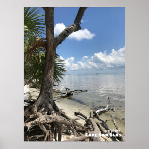 Póster Viajes Florida - Playa de Cabo San Blas