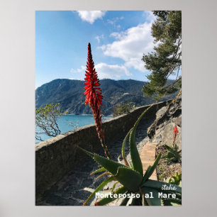 Póster Viajes   Italia