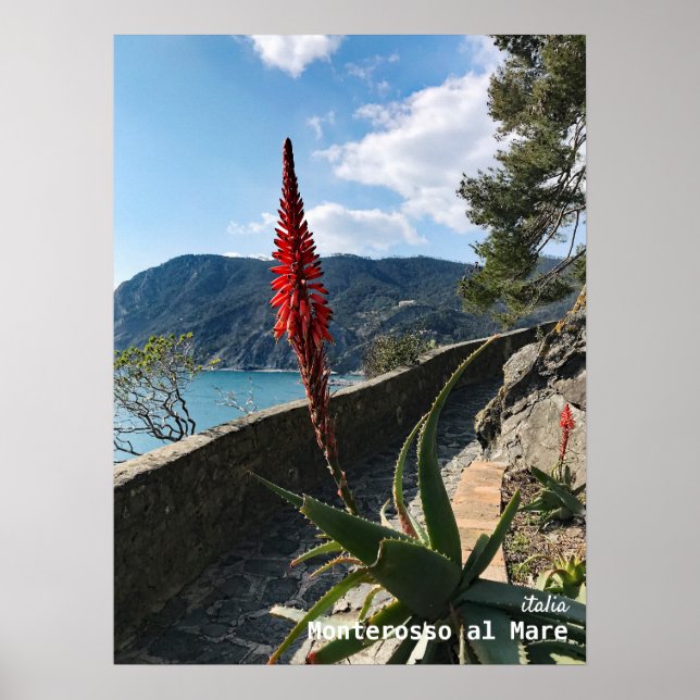 Póster Viajes | Italia (Frente)