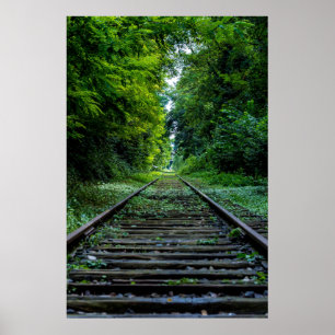 Póster Vías de tren a través de bosques verdes