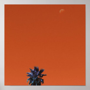 Póster Vibes positivas: minimalismo de la luna de la palm