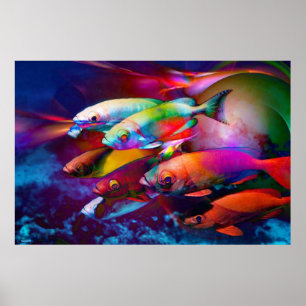 PÓSTER VIBRANCE