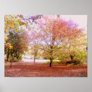 Póster Vibrant Autumn Trees