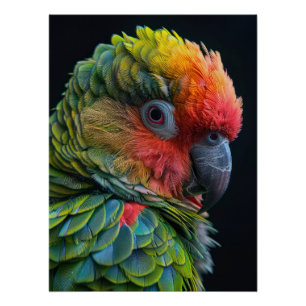 Póster Vibrant Exotic Parrot Color Portrait