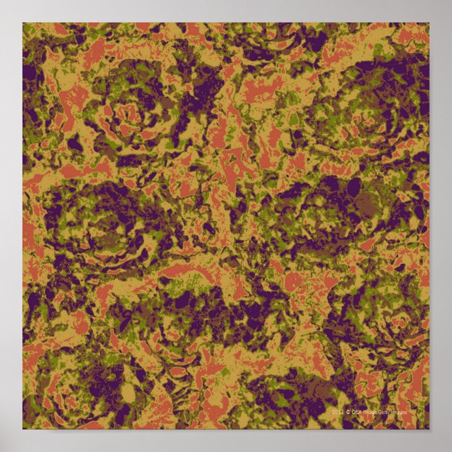 Póster Vibrant flower camouflage pattern (Frente)