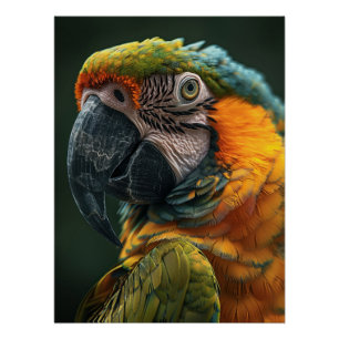 Póster Vibrant Macaw Parrot Close-Up Fine Art Photo
