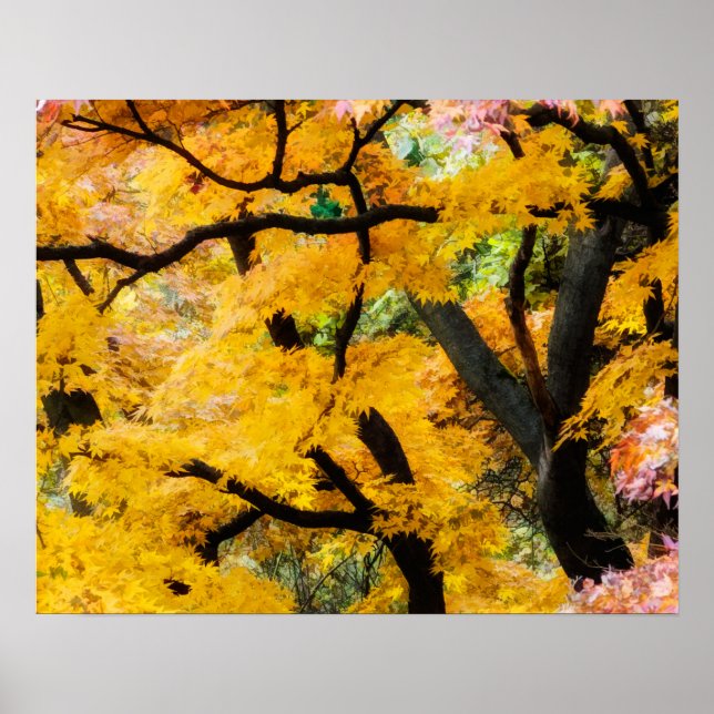 Póster Vibrant Zen Garden (Frente)