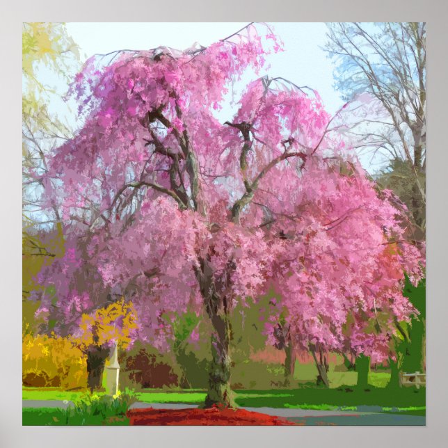 Póster Vibrante árbol rosa en primavera (Frente)