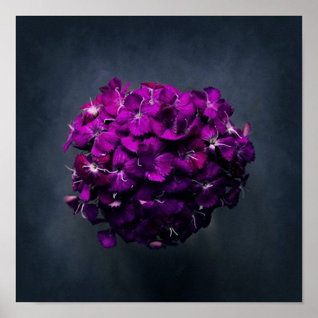 Póster Vibrante foto de color morado (Frente)