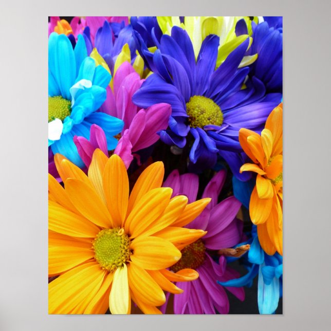 Póster Vibrante Gerbera Daisy Bouquet (Frente)