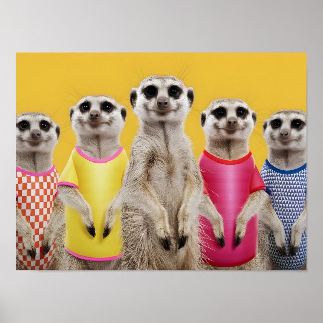 Póster Vibrante grupo Meerkat con atuendos elegantes (Frente)