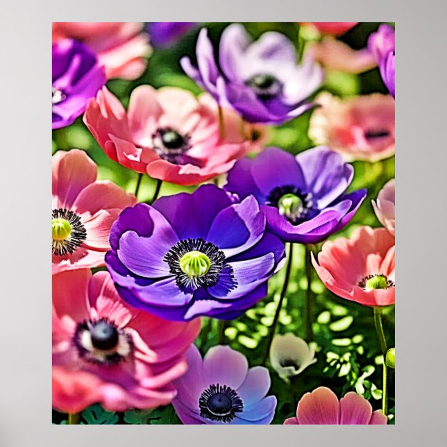Póster Vibrante Primavera Anemone Blooms Diseño (Frente)