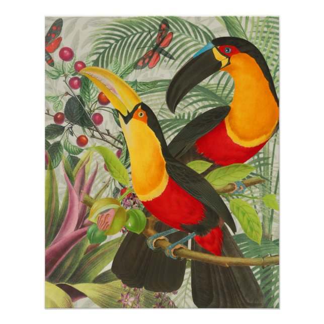Póster Vibrantes Aves Tropicales Turcas Arte Selva Exótic (Anverso)