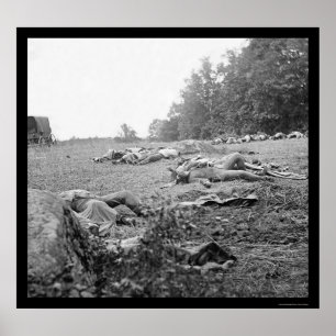 Póster Víctimas en la batalla de Gettysburg 1863