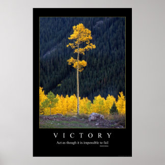 Póster Victoria