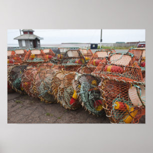 Póster Victoria, Isla del Príncipe Eduardo. Trampas para