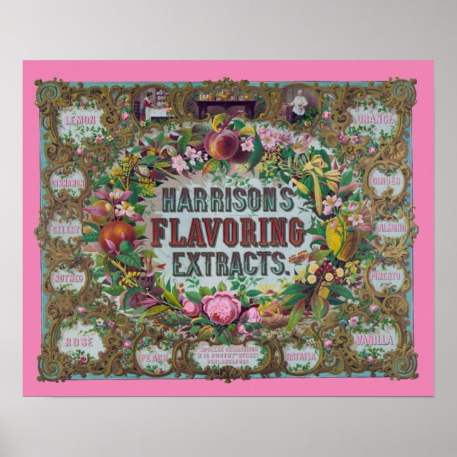 Póster Victorian floral fruit baking extracts pink teal (Frente)